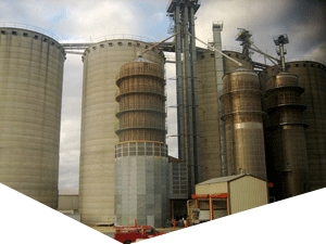 免费信息轰炸机